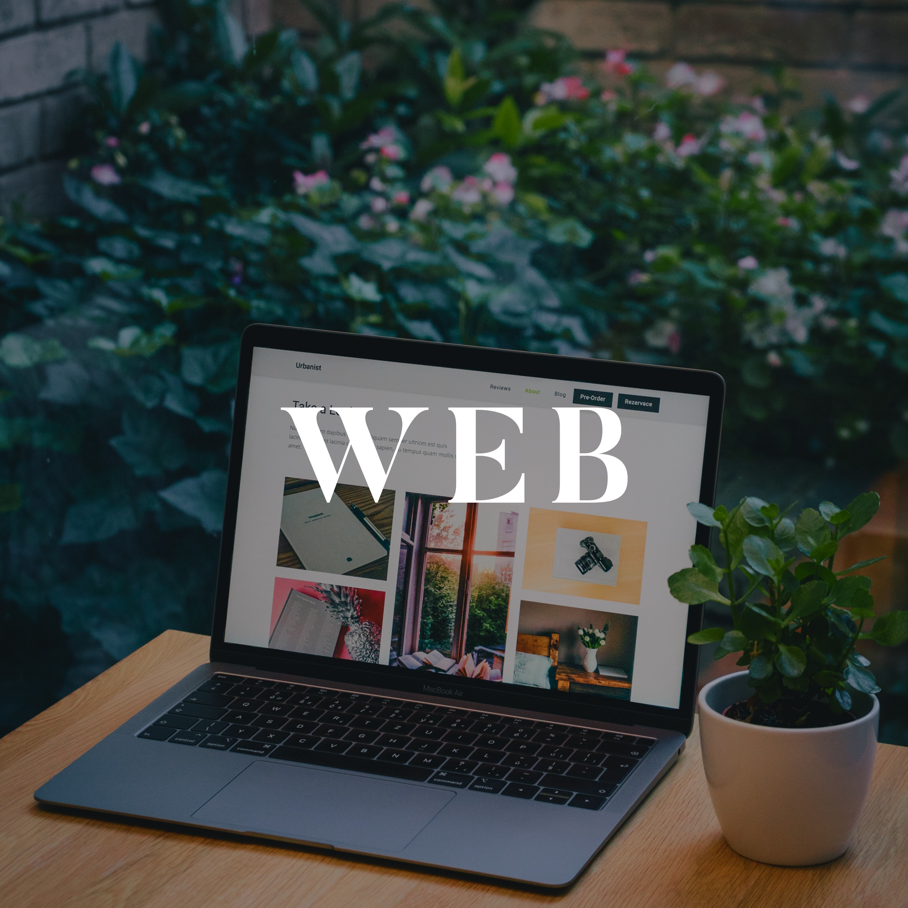 Image of computer and plants that leads to website designs I've made